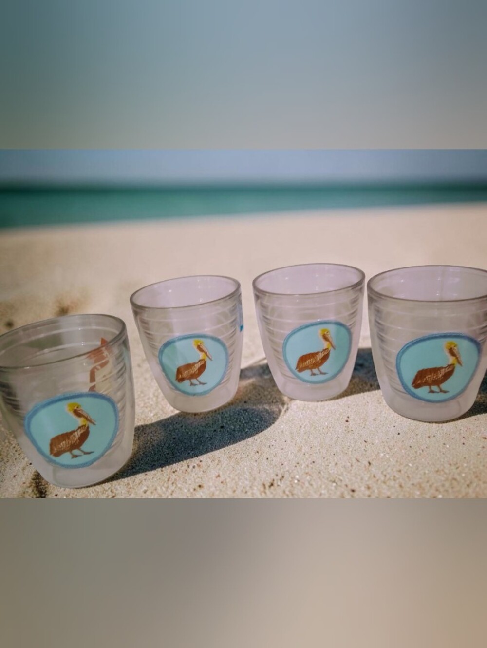 Tervis Clear Plastic Lowball Tumblers Set Of 4  Medallions With Pelican patch